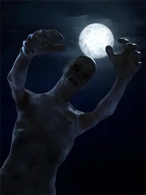 女神的贴身仕卫