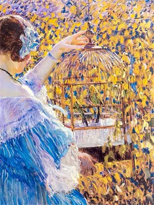 csol狂怒骑士极品强化